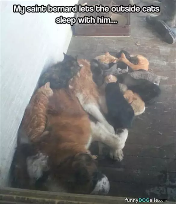 How To Stay Warm