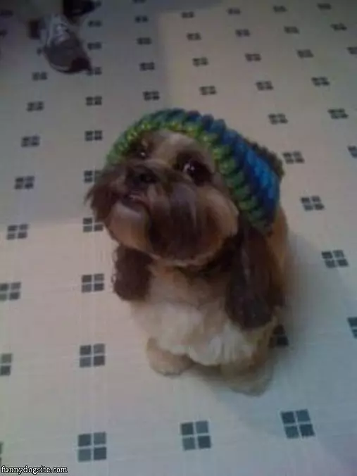 Do You Like My Hat