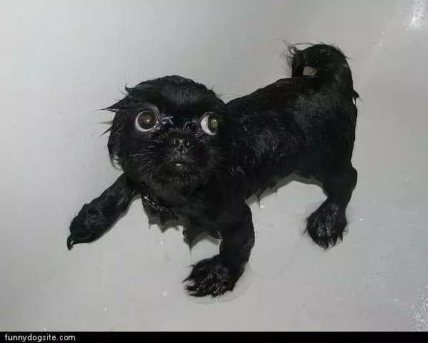 Soaking