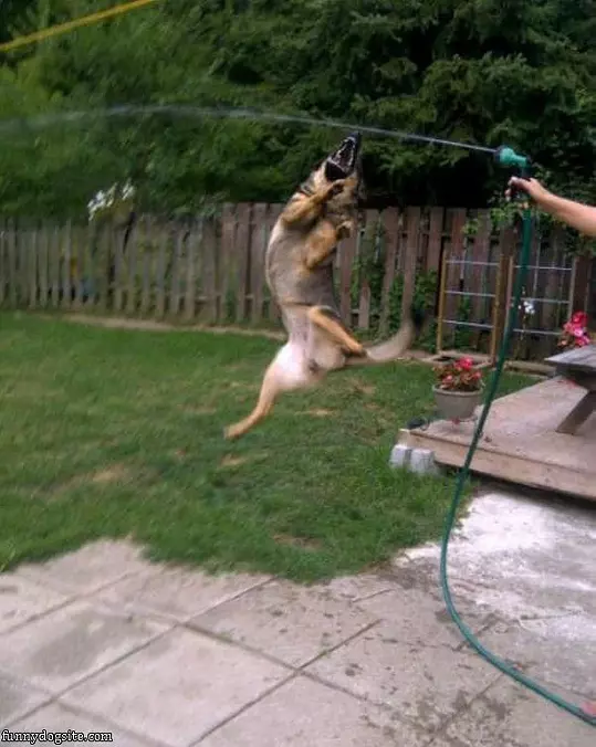 Jump Attack