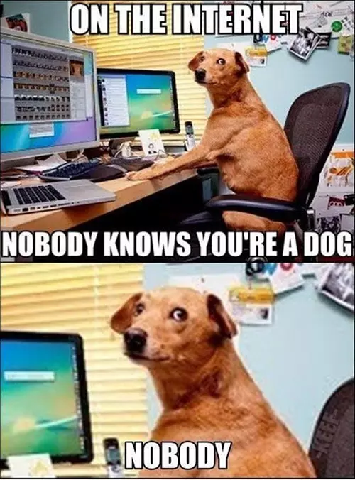 On The Internet