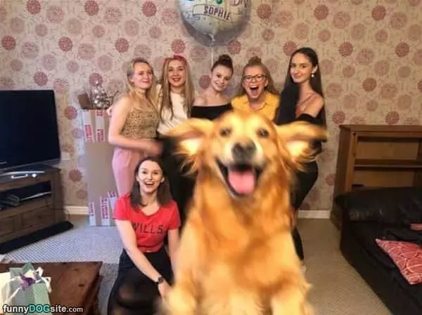 I Photobombed