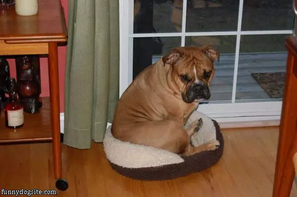 I Fits Just Fine