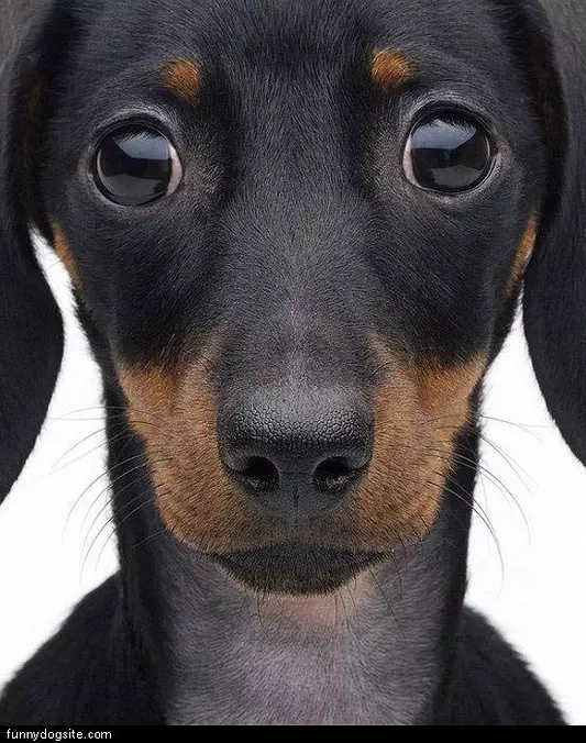 Big Eyes