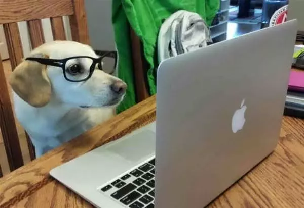 Just Reading Up On Some Things