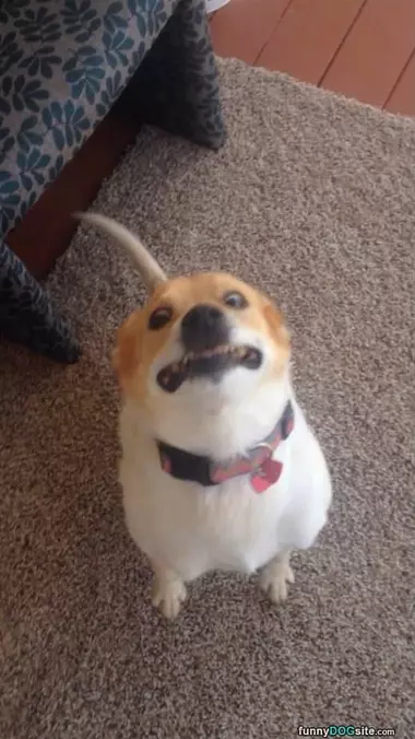 Do Not Look Behind You