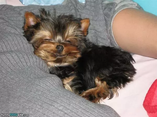 So Sleepy