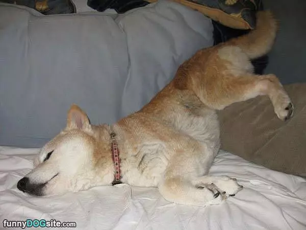 Sleep Is Awessome