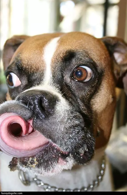 Curvy Tongue