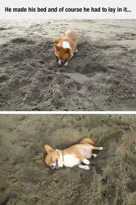 He Made His Bed