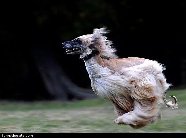 Running Too Fast