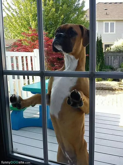 Hello In There