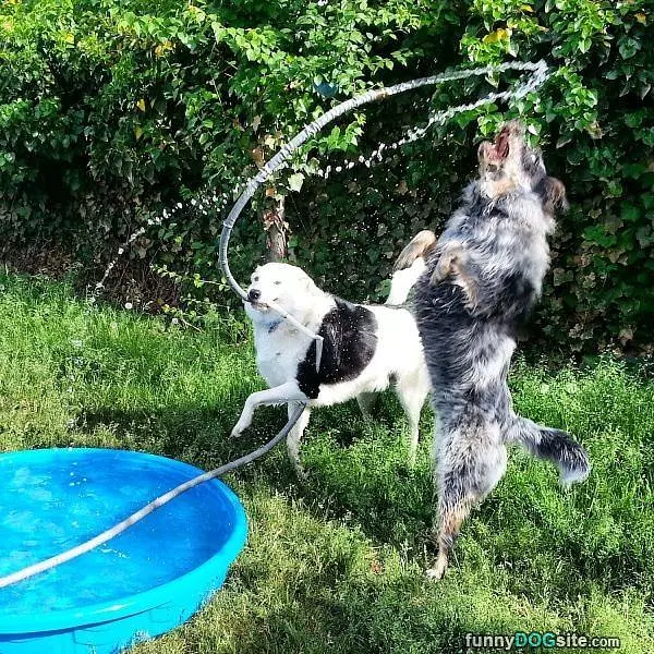 I Got The Hose