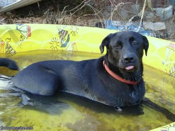 Cooling Off A Bit