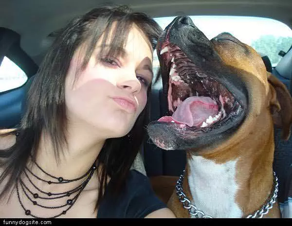 Dog And Owner