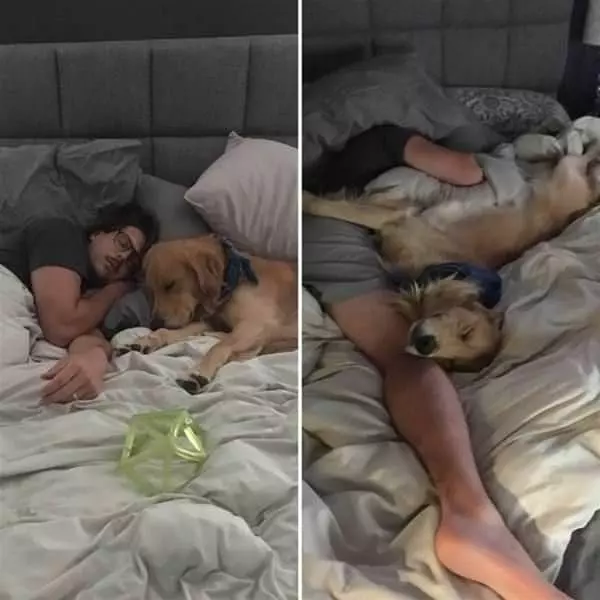 Napping Together