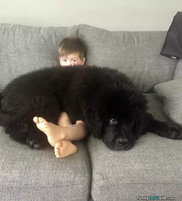 My Best Friend