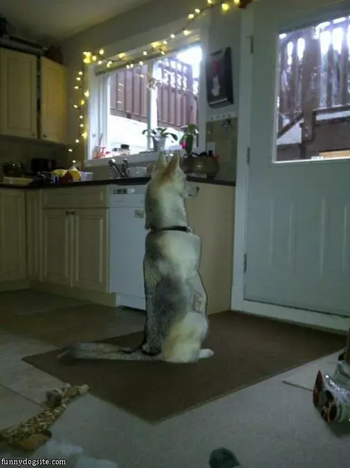 Is Someone Home