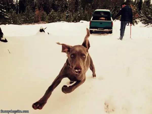 Running So Fast