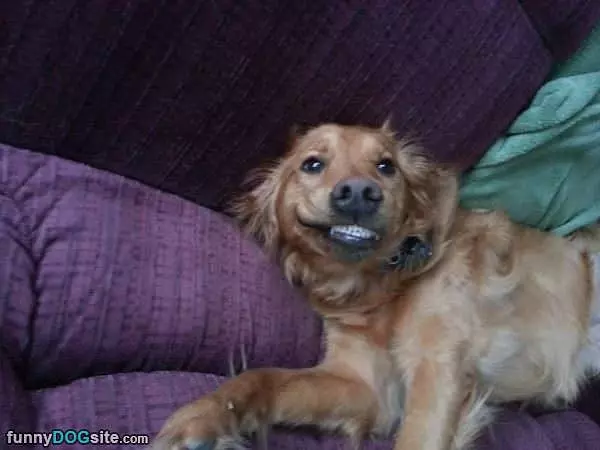 Smilllle