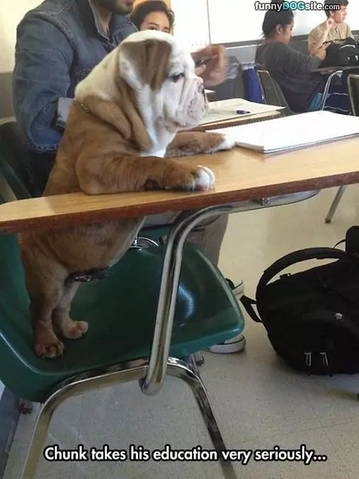 Serious Business