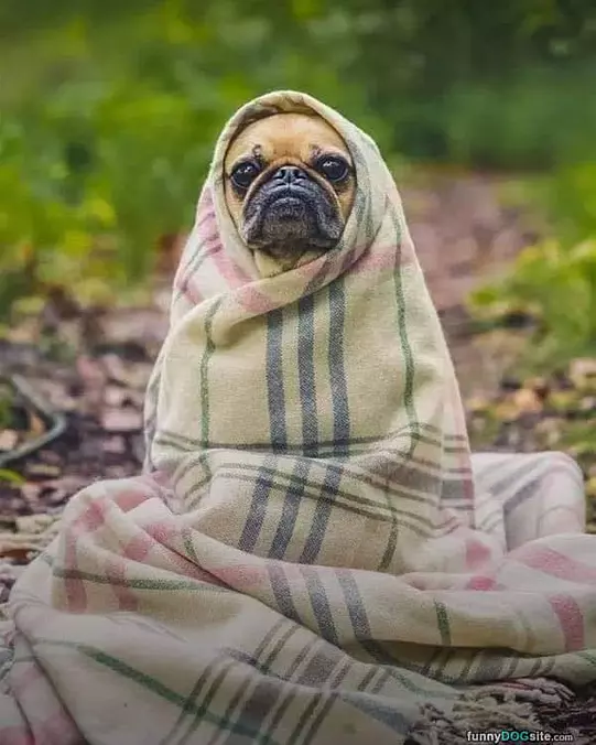 Wrapped Up Super Warm