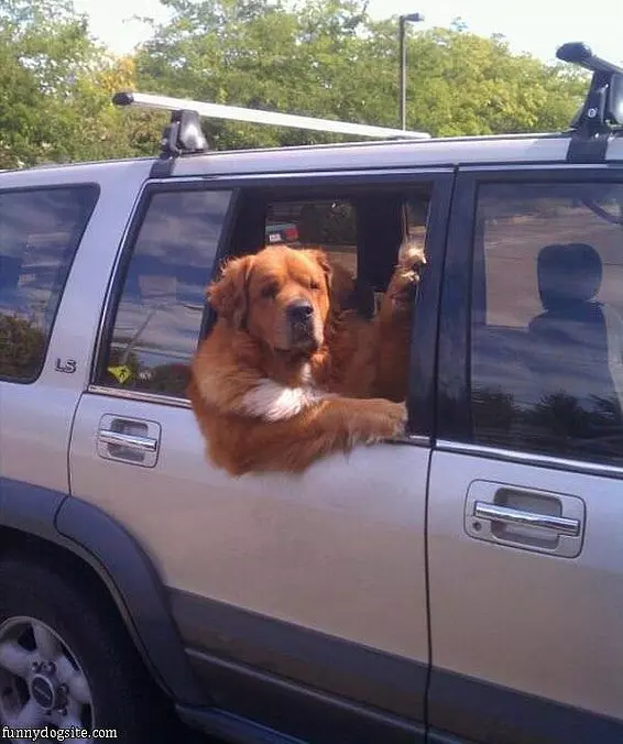 Whats Up Guys