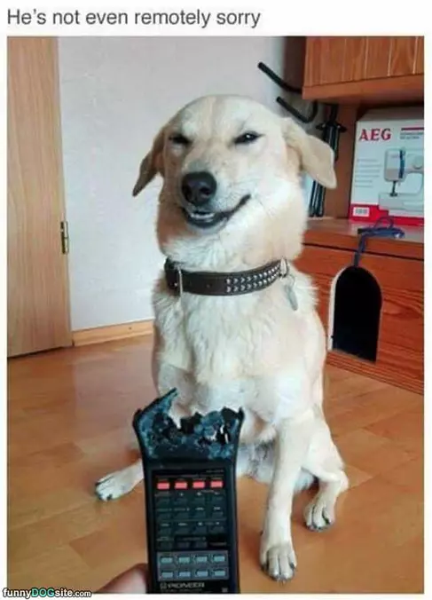 He He He It Was Me