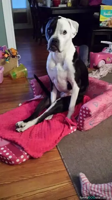 Captain Relaxing