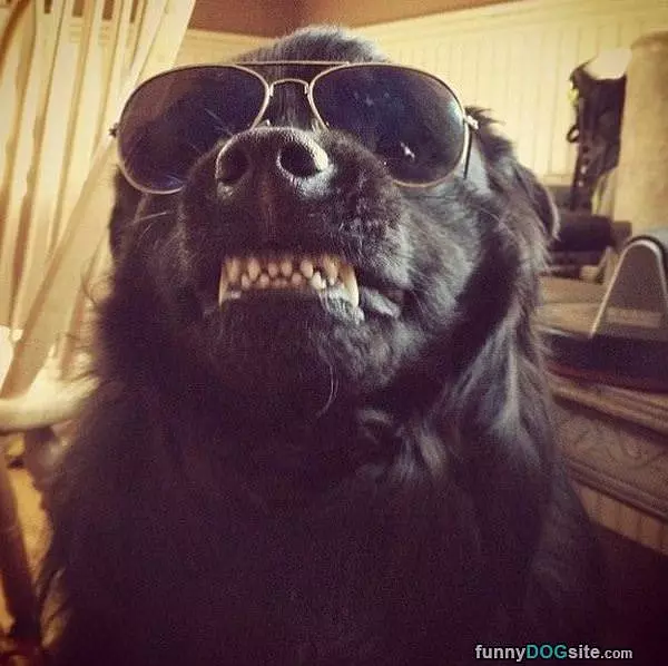 My Grrrr Face