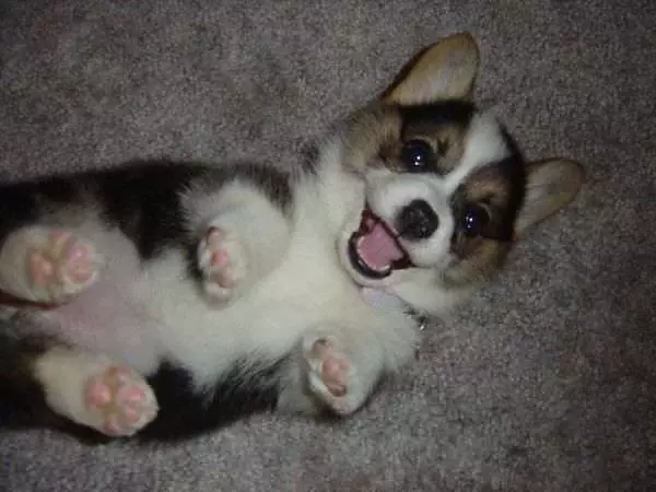 Play Time