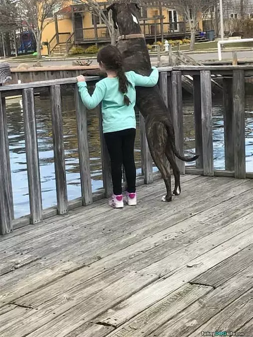 Watching The Birds