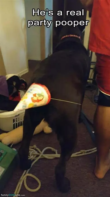 A Party Pooper