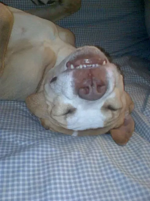 Paris Sleeping