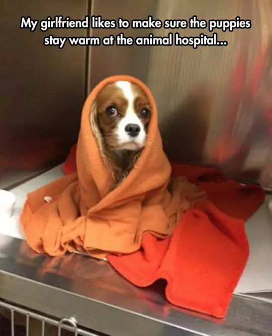 Make Sure They Stay Warm