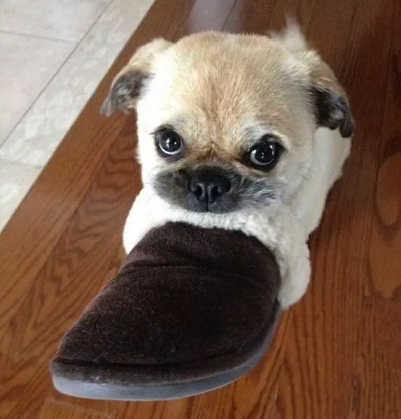 Found A Warm Spot