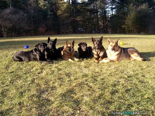 All Posing For Our Picture