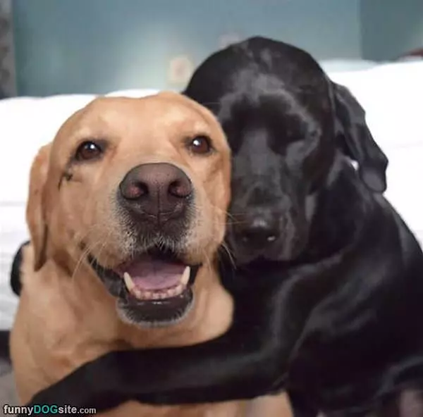 A Nice Cute Hug
