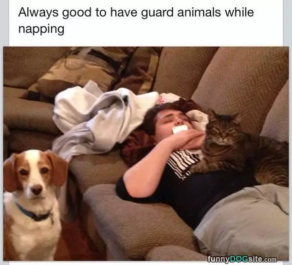 Guard Animals