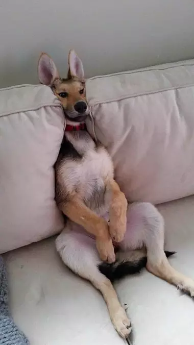 I Am So Relaxed