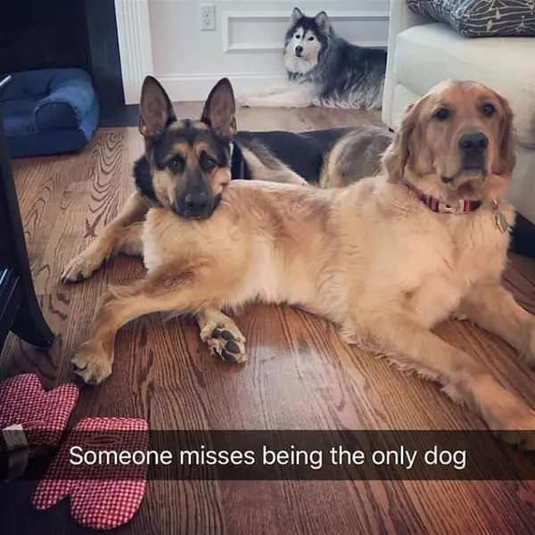 Somebody Misses It