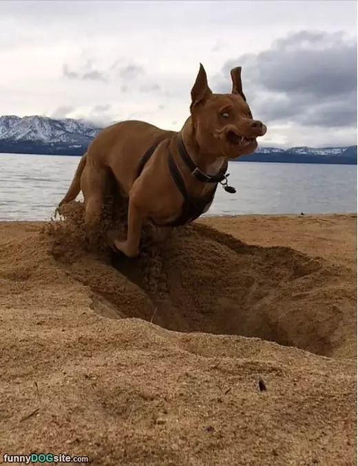 Digging The Deepest Hole