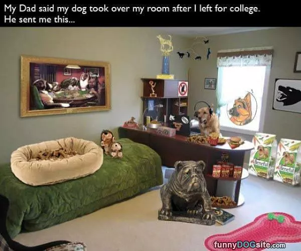 The Dog Took Over