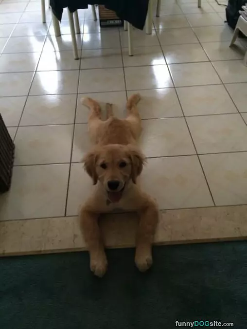 Well Hello There People