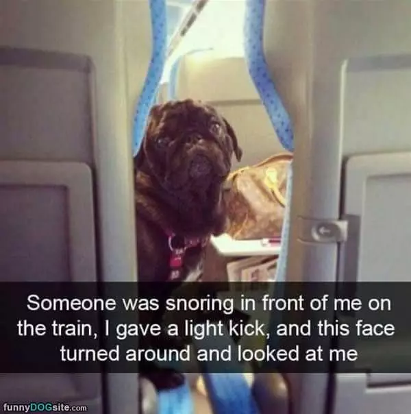 Snoring On The Train
