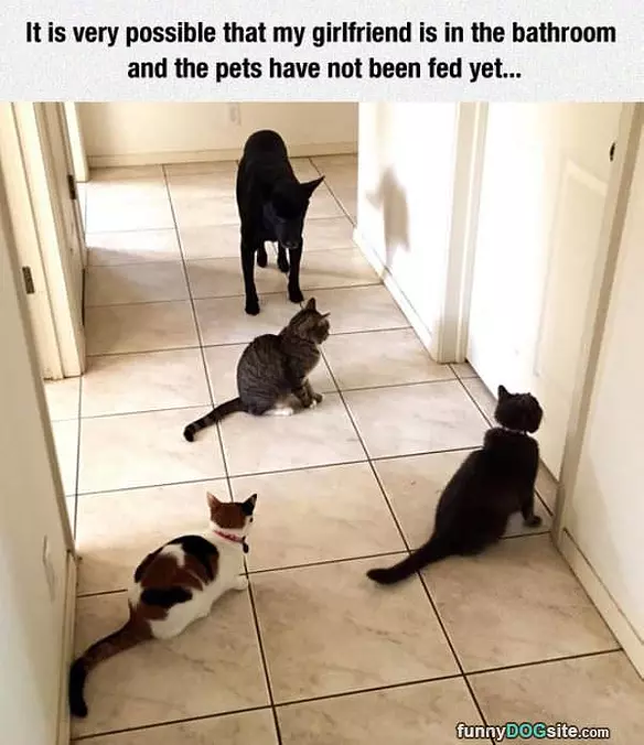 Had To Go To The Bathroom