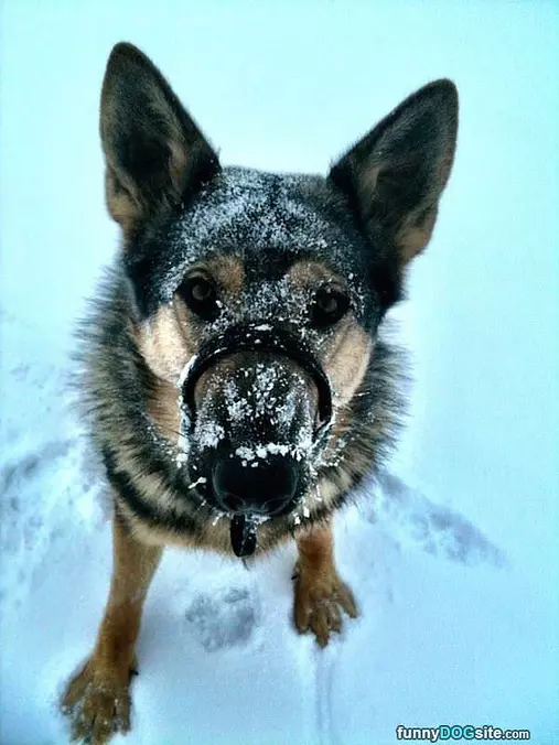 I Loves The Snow