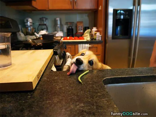I Wants Dis