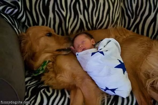 Protection