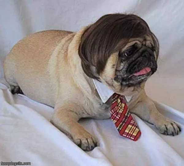 Ready For Work